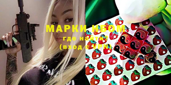 индика Бугульма