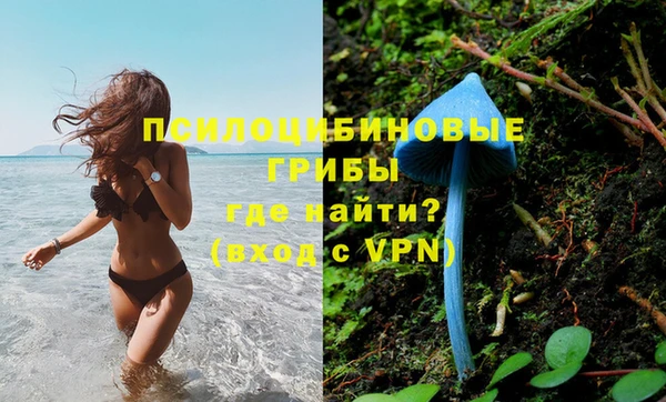 марихуана Богородицк