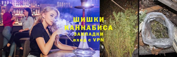 индика Бугульма